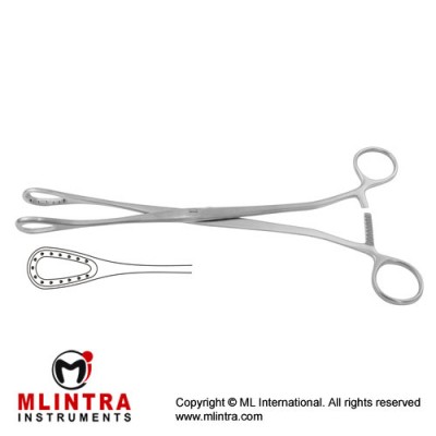 Saenger Placenta and Ovum Forcep Straight Stainless Steel, 27.5 cm - 10 3/4"